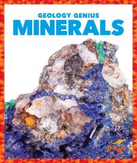 Book Cover for Minerals by Rebecca Pettiford