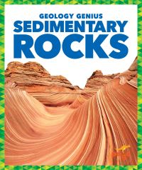 Book Cover for Sedimentary Rocks by Rebecca Pettiford