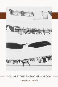 Book Cover for You Are the Phenomenology by Timothy OKeefe