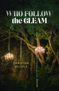 Book Cover for Who Follow the Gleam by Christian Wessels