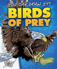Book Cover for Birds of Prey by Steve Porter