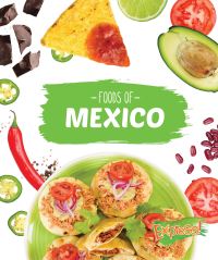 Book Cover for Foods of Mexico by Christine VeLure Roholt