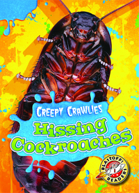 Book Cover for Hissing Cockroaches by Kari Schuetz