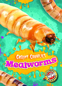 Book Cover for Mealworms by Kari Schuetz
