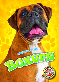 Book Cover for Boxers by Mari C Schuh