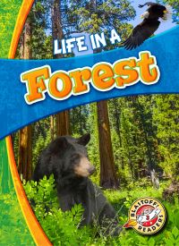 Book Cover for Life in a Forest by Laura Hamilton Waxman