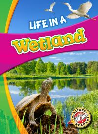 Book Cover for Life in a Wetland by Laura Hamilton Waxman