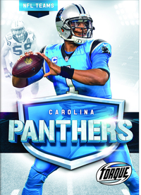 Book Cover for The Carolina Panthers Story by Larry Mack