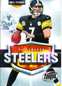 Book Cover for The Pittsburgh Steelers Story by Allan Morey