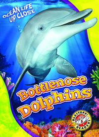 Book Cover for Bottlenose Dolphins by Kari Schuetz
