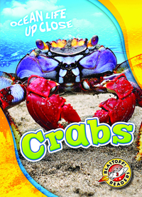 Book Cover for Crabs by Rebecca Pettiford