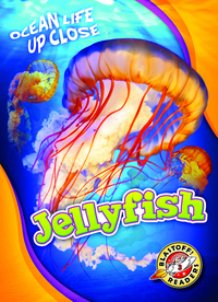 Book Cover for Jellyfish by Christina Leaf