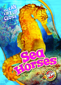 Book Cover for Sea Horses by Christina Leaf