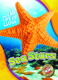 Book Cover for Sea Stars by Rebecca Pettiford