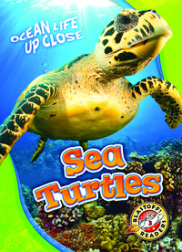Book Cover for Sea Turtles by Kari Schuetz