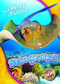 Book Cover for Stingrays by Rebecca Pettiford