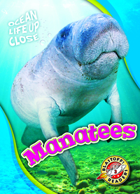 Book Cover for Manatees by Rebecca Pettiford