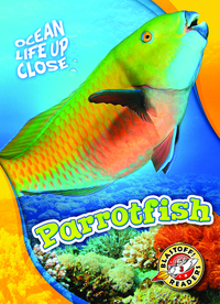 Book Cover for Parrotfish by Mari C Schuh
