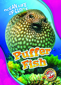 Book Cover for Puffer Fish by Rebecca Pettiford