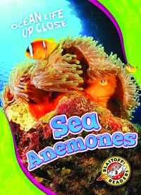 Book Cover for Sea Anemones by Mari C Schuh