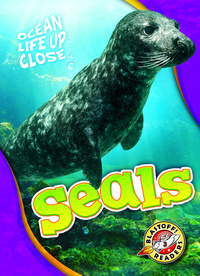 Book Cover for Seals by Rebecca Pettiford