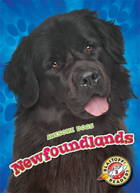 Book Cover for Newfoundlands by Nathan Sommer
