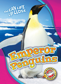 Book Cover for Emperor Penguins by Heather Adamson