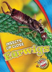 Book Cover for Earwigs by Patrick Perish