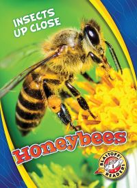Book Cover for Honeybees by Christina Leaf