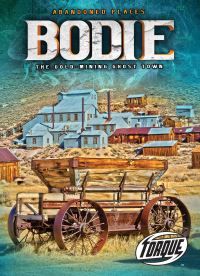 Book Cover for Bodie by Kari Schuetz