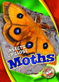 Book Cover for Moths by Patrick Perish