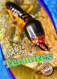 Book Cover for Termites by Patrick Perish