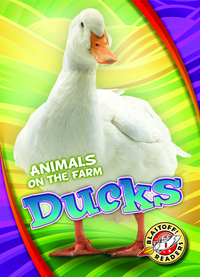 Book Cover for Ducks by Kari Schuetz