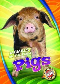 Book Cover for Pigs by Christina Leighton