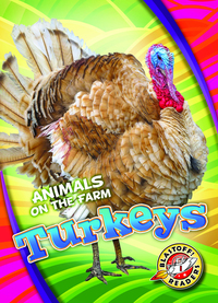 Book Cover for Turkeys by Kari Schuetz