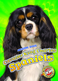 Book Cover for Cavalier King Charles Spaniels by Paige V Polinsky