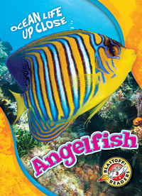 Book Cover for Angelfish by Nathan Sommer