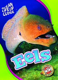 Book Cover for Eels by Nathan Sommer