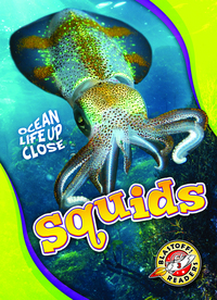 Book Cover for Squids by Nathan Sommer