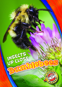 Book Cover for Bumblebees by Patrick Perish