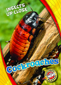 Book Cover for Cockroaches by Patrick Perish