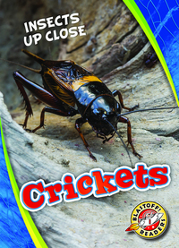 Book Cover for Crickets by Patrick Perish