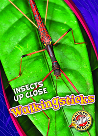 Book Cover for Walkingsticks by Patrick Perish