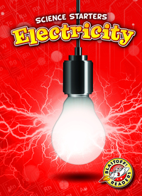 Book Cover for Electricity by Rebecca Pettiford