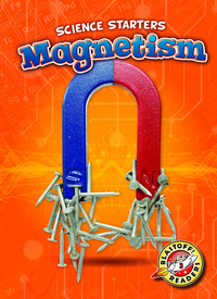 Book Cover for Magnetism by Carolyn Bernhardt