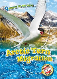 Book Cover for Arctic Tern Migration by Kari Schuetz