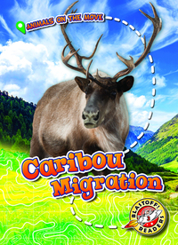 Book Cover for Caribou Migration by Kari Schuetz