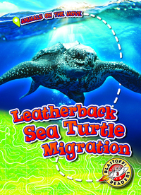 Book Cover for Leatherback Sea Turtle Migration by Kari Schuetz