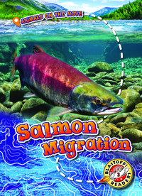 Book Cover for Salmon Migration by Kari Schuetz