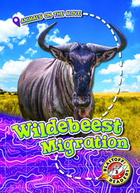 Book Cover for Wildebeest Migration by Kari Schuetz